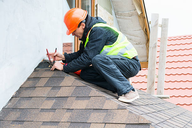 Roof Gutter Cleaning in Murphy, TX